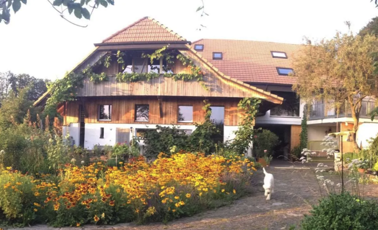 Ein rustikales Haus mit schrägem rotem Ziegeldach, weißen und hölzernen Wänden und Weinreben, die an der Fassade emporranken. Davor erstreckt sich ein üppiger Garten mit gelben und orangefarbenen Blumen, in dem eine Katze auf dem Steinweg spazieren geht.