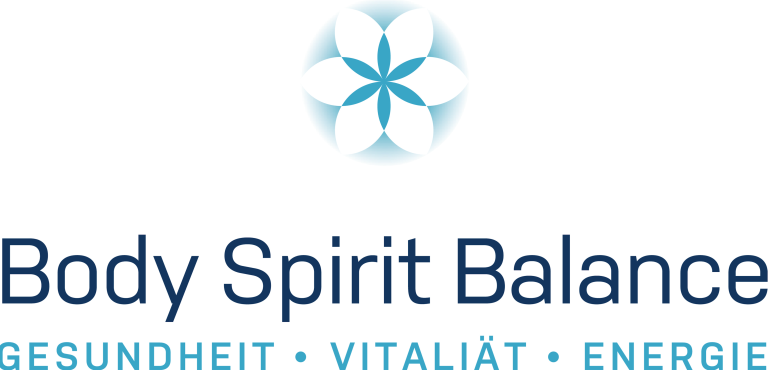 Logo mit einem blau-weißen geometrischen Blumenmuster über dem Text „Body Spirit Balance“, darunter Werner Schlaeflis Name und die Worte „Gesundheit • Vitalität • Energie“ in Hellblau.