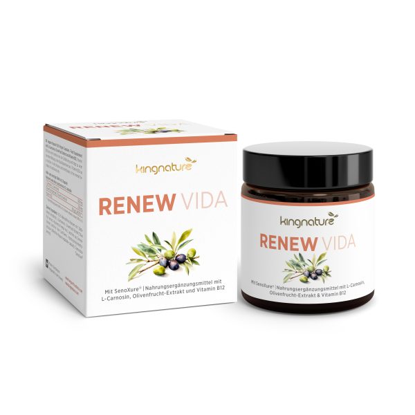 RenewVida_BoxJar_DE_v1.0 Ein Glas und eine Schachtel des Nahrungsergänzungsmittels kingnature RENEW VIDA mit Olivenabbildungen und Beschriftungen der wichtigsten Inhaltsstoffe wie L-Carnosin, Olivenfruchtextrakt und Vitamin B12. Die Verpackung ist in schlichtem Weiß mit goldenen und olivgrünen Akzenten gehalten.
