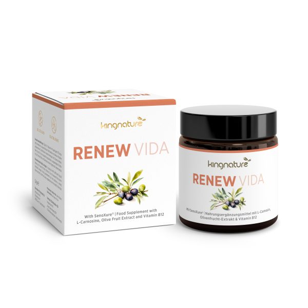 RenewVida_BoxJar_EN_v1.0 Ein Glas und eine Schachtel des Nahrungsergänzungsmittels Kingnature Renew Vida mit Olivenabbildungen und der Aufschrift „L-Carnosin, Olivenfruchtextrakt, Vitamin B12“ und natürlichen Inhaltsstoffen. Die Verpackung ist weiß mit grünen und goldenen Akzenten.