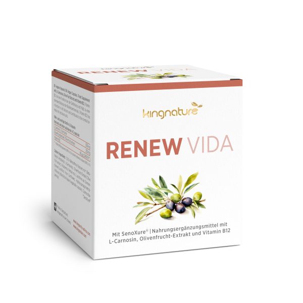 RenewVida_Box_DE_v1.0 Eine weiße Schachtel mit der Aufschrift „kingnature RENEW VIDA“ zeigt eine Abbildung von Oliven und Blättern. Der Text unten hebt es als Nahrungsergänzungsmittel mit L-Carnosin, Olivenfruchtextrakt, Vitamin B12 und antioxidativen Eigenschaften hervor.